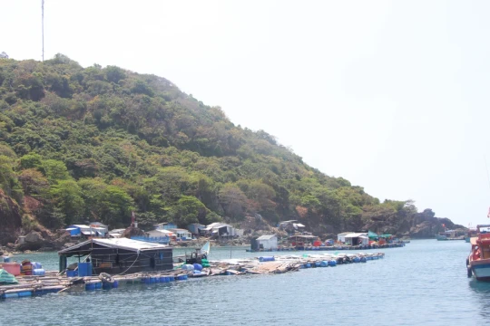 Cà Mau: Cụm đảo Hòn Chuối sẵn sàng cho ngày bầu cử sớm