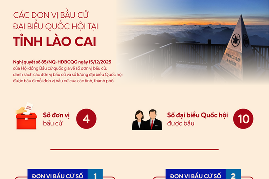 [Infographic] Các đơn vị bầu cử đại biểu Quốc hội tại tỉnh Lào Cai