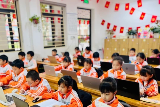 Gần 150.000 học sinh tranh tài vòng quốc gia Violympic 2025 - 2026