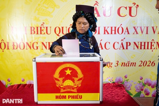 Xác nhận tư cách của người trúng cử được thực hiện như thế nào?