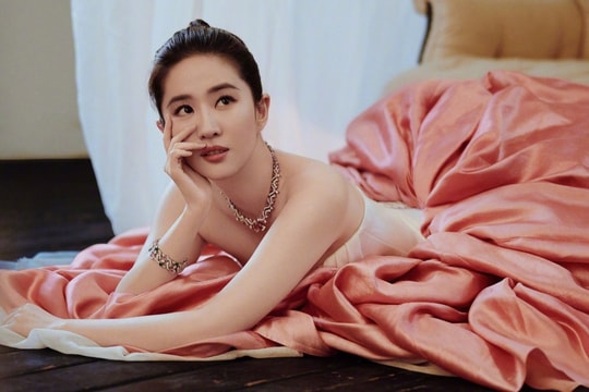 39 tuổi, Lưu Diệc Phi vẫn lẻ bóng và sở hữu 170 triệu USD