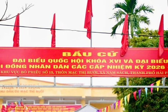 Cô dâu, chú rể ở Hải Phòng mặc áo cưới đi bỏ phiếu