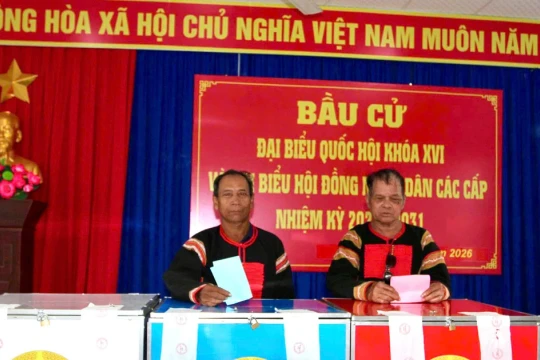 Khánh Hòa có hơn 1,65 triệu cử tri tham gia bầu cử