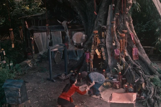 ‘Thỏ Ơi!’ giảm nhiệt, ‘Quỷ nhập tràng 2’ làm nóng phòng vé