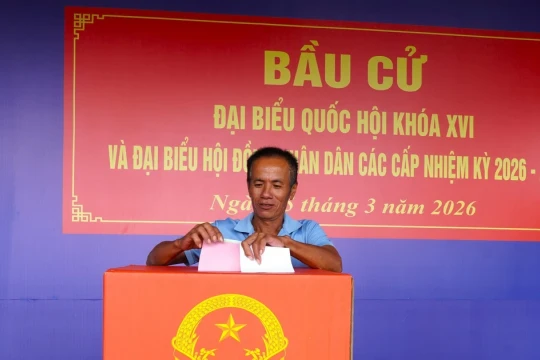 Tỷ lệ cử tri Cà Mau bỏ phiếu bầu cử đạt 99,94%