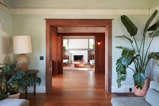 3 loại cây "hút" tài lộc và may mắn, rất nên trồng trong nhà