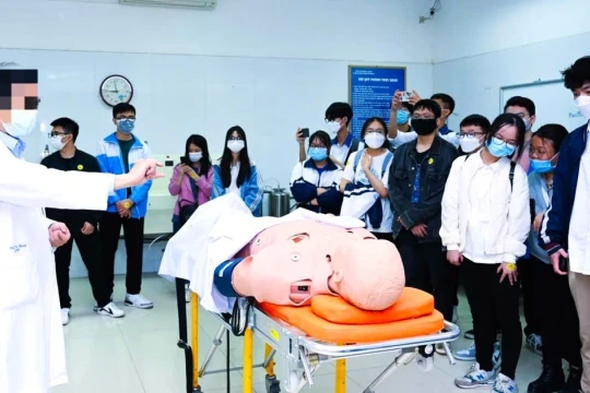 Rà soát hoạt động đào tạo, cấp văn bằng, chứng chỉ khối ngành sức khỏe ở Cà Mau