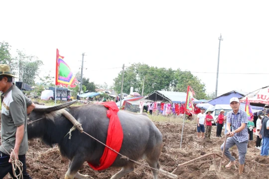 Lưu giữ sắc màu văn hóa Tày, Nùng từ lễ hội Lồng Tồng ở Tây Nguyên