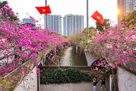 Hoa giấy phủ kín cầu Thủy Tiên, khung cảnh như 'xứ sở thần tiên'