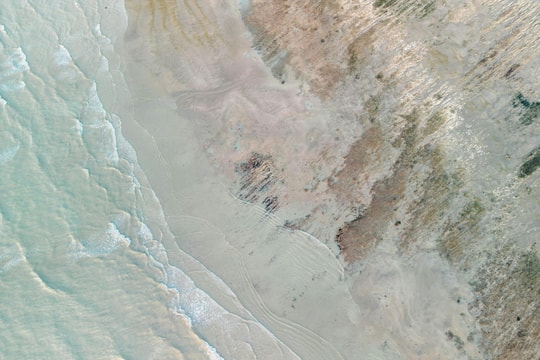 Tử vi thứ 3 ngày 24/3/2026 của 12 con giáp: Sửu nhiệt huyết, Dậu nhiều tâm sự