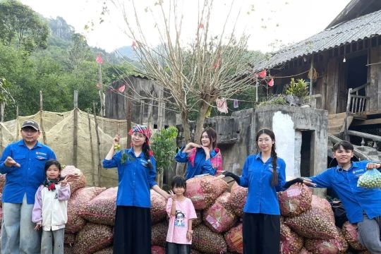 Sinh viên Đại học Tây Bắc giúp dân thu gom 50 tấn quả sau mưa đá
