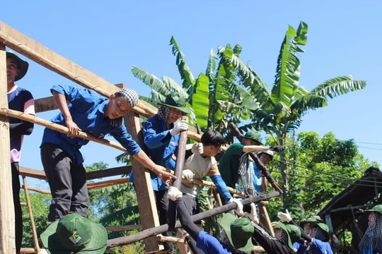 Trưởng thành từ hoạt động tình nguyện: Hành trình rèn luyện bản lĩnh và trách nhiệm xã hội