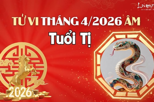 Tử vi tháng 4/2026 tuổi Tị âm lịch: Dễ bị lừa vì quá tin người