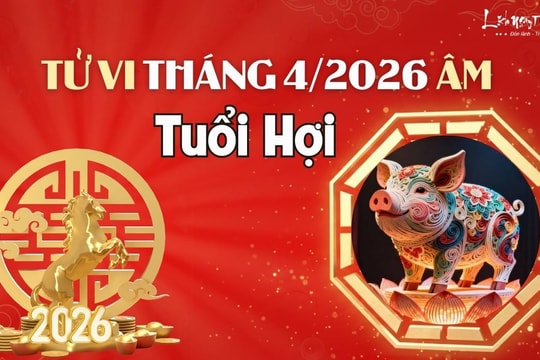 Tử vi tháng 4/2026 tuổi Hợi âm lịch: Tháng mới nhiều khó khăn chật vật