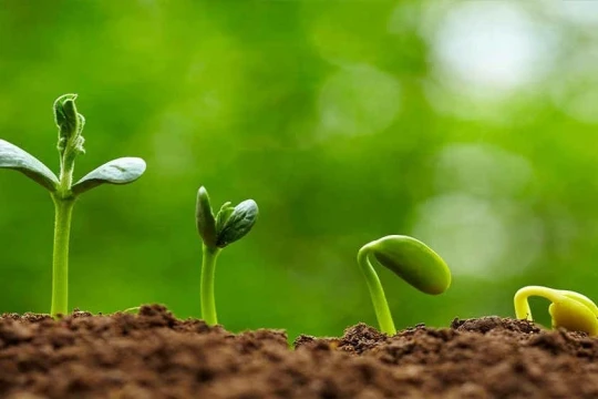 Café ngày mới: Liều thuốc cho tâm hồn