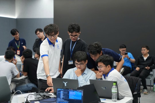 Đại học 'thay máu' chương trình IT để tránh cử nhân thất nghiệp