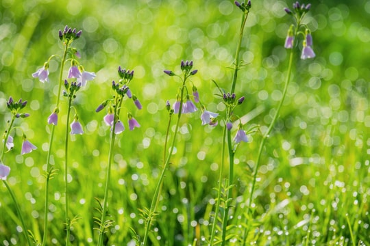 Tử vi tháng 4/2026 của 12 con giáp âm lịch: Ai được lợi nhiều nhất?