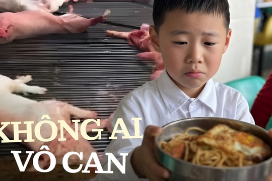 Thịt lợn bệnh "đầu độc" học sinh: Người lớn đừng tranh nhau nhận mình là "nạn nhân" nữa, tốt nhất hãy làm ngay điều này!