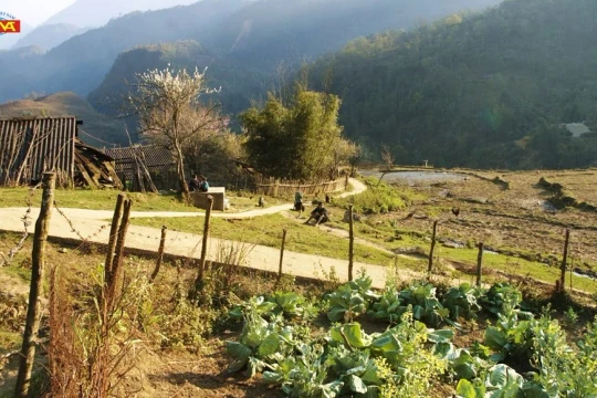 Diện mạo Điện ảnh Việt Nam 40 năm Đổi mới