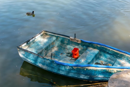 Tử vi thứ bảy ngày 4/4/2026 của 12 con giáp: Thìn quyết đoán, Tuất phô trương