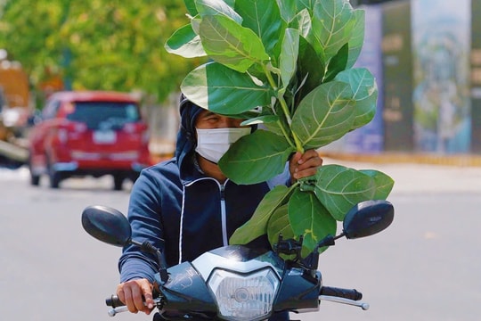 Nam Bộ hứng nắng nóng gay gắt trong tháng 4, có nơi chạm ngưỡng 39°C