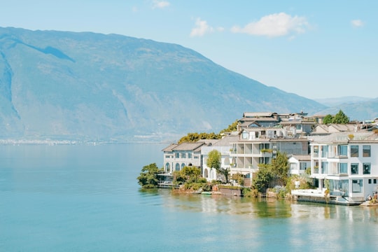 Tử vi thứ 2 ngày 6/4/2026 của 12 con giáp: Dần trôi chảy, Mùi áp lực