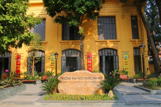 Đại học Dược Hà Nội thêm hai tổ hợp, không quy đổi điểm IELTS