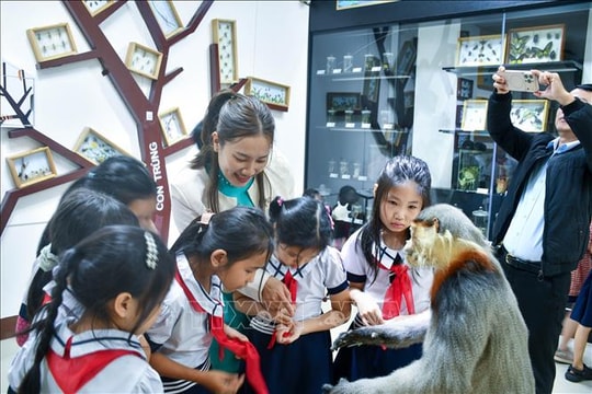 Trải nghiệm thiên nhiên giữa lòng đô thị Huế