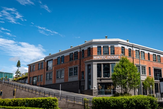 8 học viện New Zealand tuyển thẳng học sinh Việt với học bạ từ 7 điểm