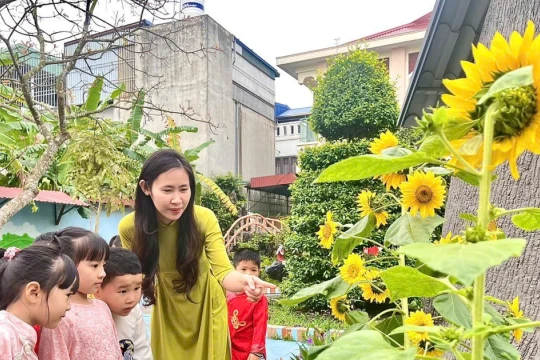 Hải Phòng lưu ý trong tuyển sinh đầu cấp Tiểu học và THCS