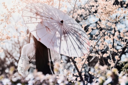 Tử vi thứ 2 ngày 13/4/2026 của 12 con giáp: Thân có lộc, Tý khó khăn