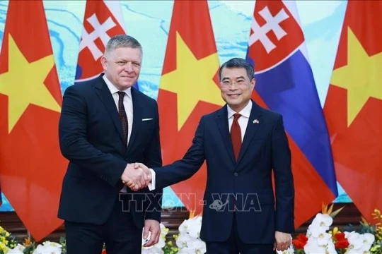 Thủ tướng Lê Minh Hưng hội đàm với Thủ tướng Cộng hòa Slovakia Robert Fico