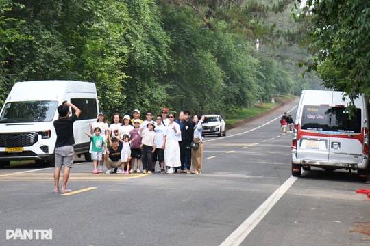 Nhiều nhóm du khách đưa trẻ em ra giữa quốc lộ để chụp ảnh