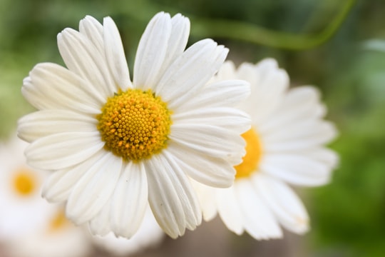 Tử vi thứ 3 ngày 14/4/2026 của 12 con giáp: Tý nhiều tiền, Ngọ giỏi giang