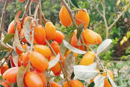 Café ngày mới: Đừng vô tình quên