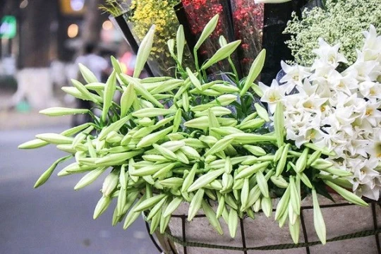 Cảm thụ văn học: Mùa đánh thức kí ức