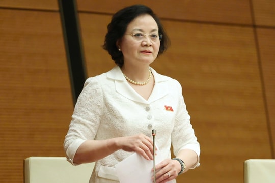 Tổ chức lại hoặc giải thể các tổ chức liên ngành do Thủ tướng thành lập