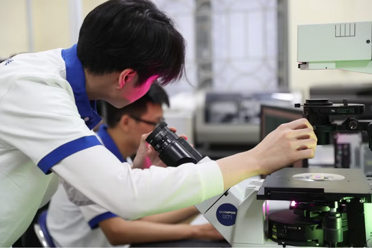 Top ngành sinh viên dễ "rẽ hướng" đi làm sớm, lương 10 triệu/tháng từ năm 2