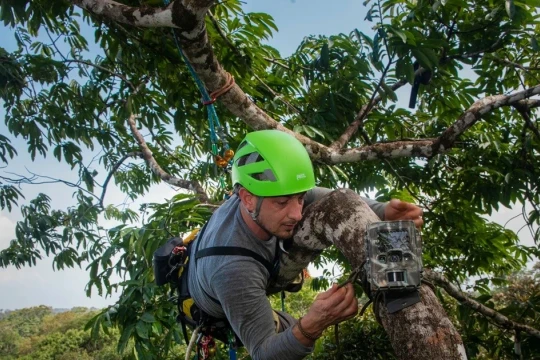 Sinh thái học thời trí tuệ nhân tạo: Nỗi lo nhà khoa học xa dần thực địa