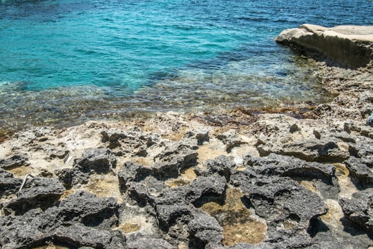 Tử vi thứ 4 ngày 22/4/2026 của 12 con giáp: Mão sáng suốt, Thân cần tỉnh táo