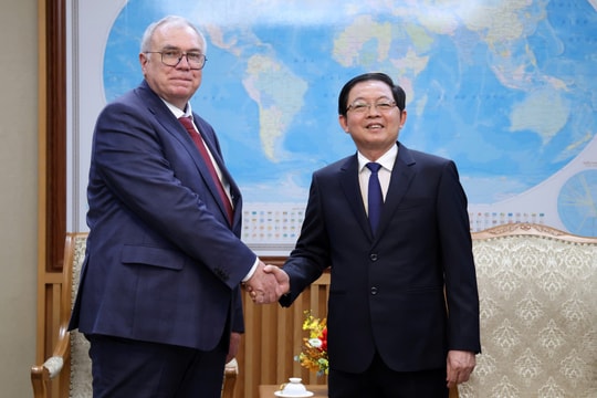 Phó Thủ tướng Hồ Quốc Dũng tiếp Cơ quan Năng lượng nguyên tử Quốc tế (IAEA)