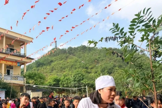 Đưa 'ba không' vào lớp học, ngăn học sinh ngộ độc quả rừng