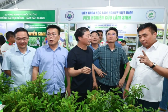 Lai Châu hướng tới chuỗi giá trị nông nghiệp xanh, bền vững