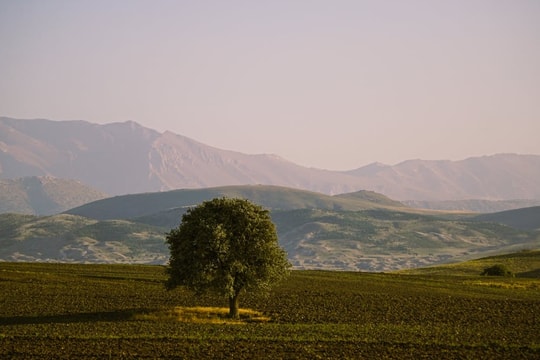 Tử vi thứ 7 ngày 25/4/2026 của 12 con giáp: Tị trì hoãn, Tý may mắn