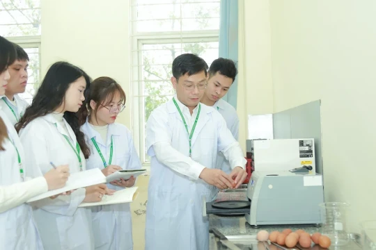 Giúp sinh viên tăng lợi thế cạnh tranh nghề nghiệp