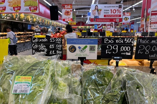 Gắn tick xanh trách nhiệm với thực phẩm học đường - Bài 2: Thêm nhiều 'lá chắn' mới