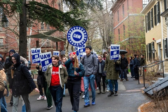 Trí tuệ nhân tạo: Nỗi lo AI làm đảo lộn lựa chọn ngành học của sinh viên Mỹ