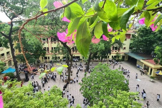 Tạo môi trường xanh để phòng chống tác hại thuốc lá xâm nhập trường học