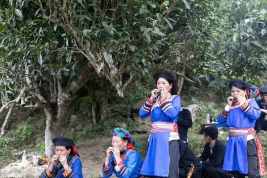 Tiếng khèn lá: Khúc tự tình dưới chân Tây Côn Lĩnh