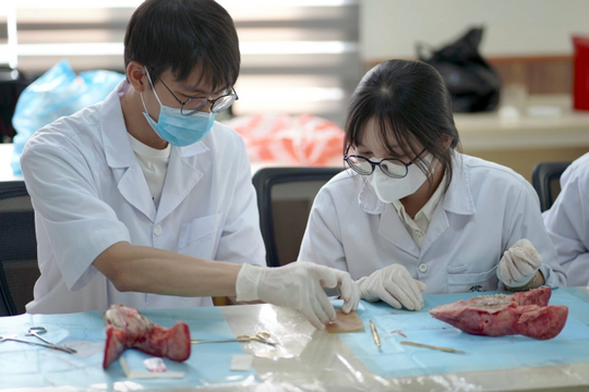 Trường Đại học Y Dược quy đổi IELTS từ 5.5 vào ngành Y khoa